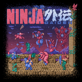 Ninja Gaiden